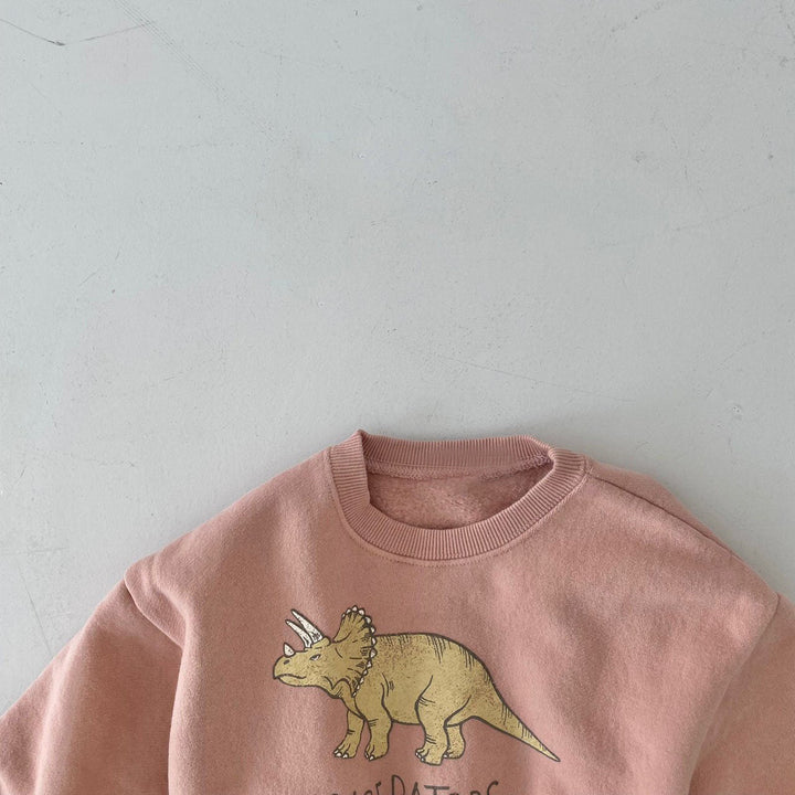 Dinosaur Print Sweater Pawlulu