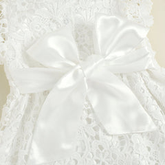 Baby Girl Lace Dress pawlulu