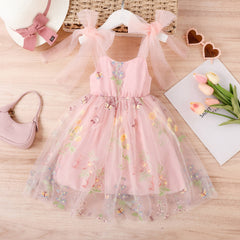 Toddler Girl Sweet Tulle Embroider Dress