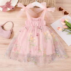Toddler Girl Sweet Tulle Embroider Dress