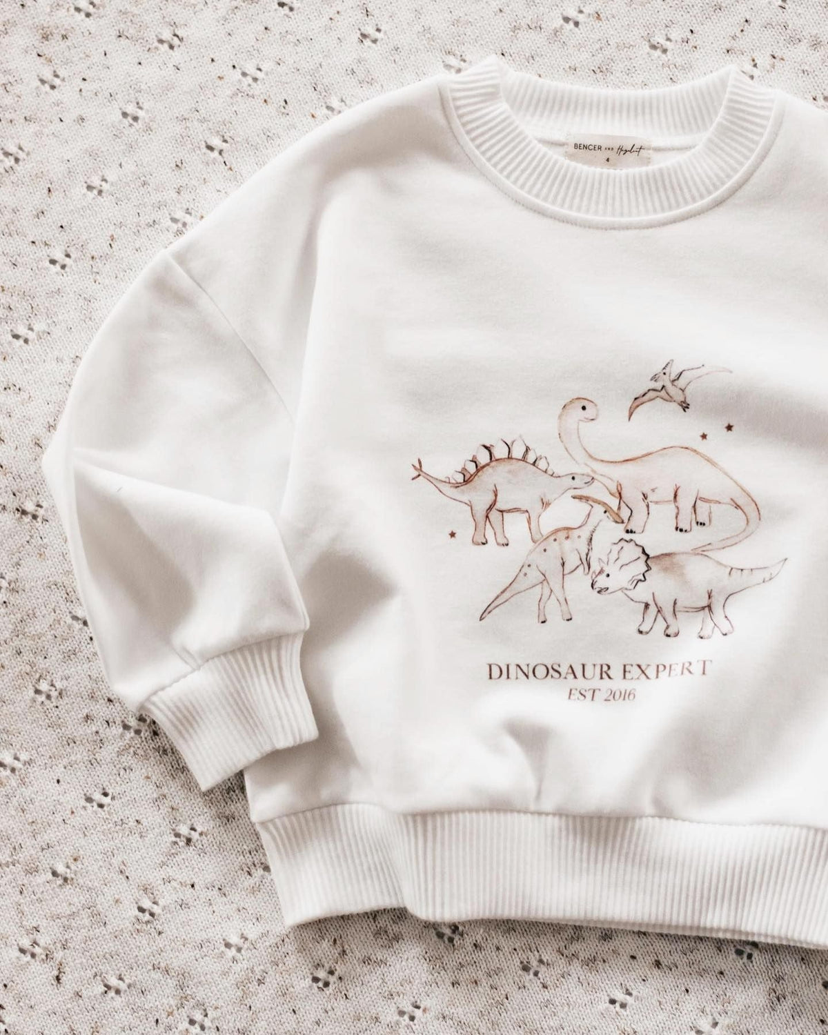 Baby Dinosaur Print Top Pawlulu